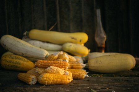 Fresh corn and yellow zucchini on rustic wooden background.