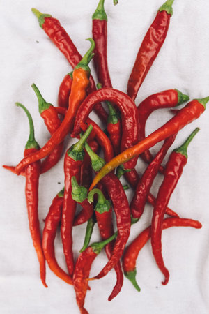 Red hot chili peppers on a white background. Close-up.の写真素材