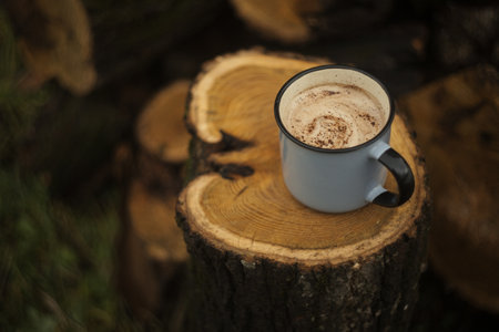 Coffee cup on a sawn tree stump in the forestの写真素材