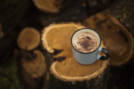 Coffee cup with cinnamon on a tree stump in the forestの写真素材