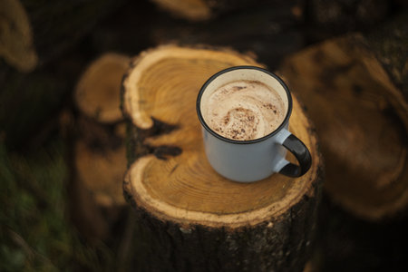 Coffee cup on a stump in the forest, selective focusの写真素材