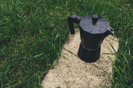 Maker on the green grass in the park. Toned.の写真素材