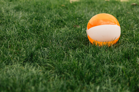 Orange ball on green grass. Close-up. Space for text.の写真素材