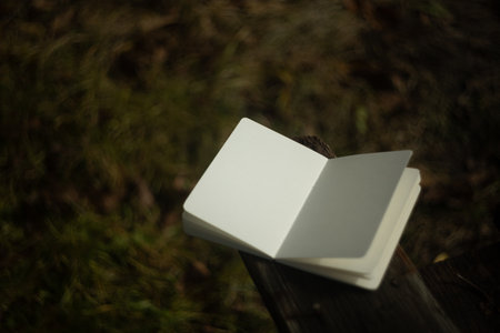 Blank book on a bench in the forest. Selective focus.の写真素材