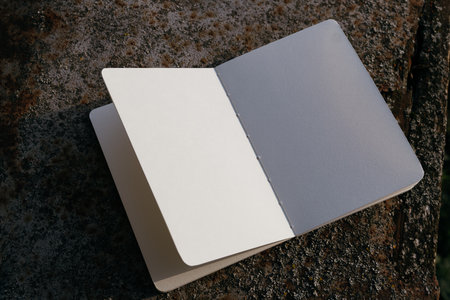 Mock-up of a blank template.