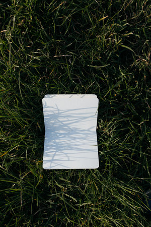 white sheet of paper on the green grass in the park. top view