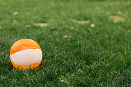 Orange ball on the green grass in the field.の写真素材