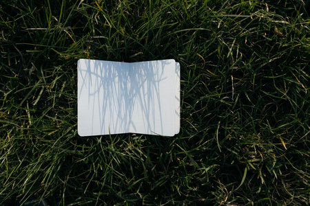 Blank card on green grass.の写真素材
