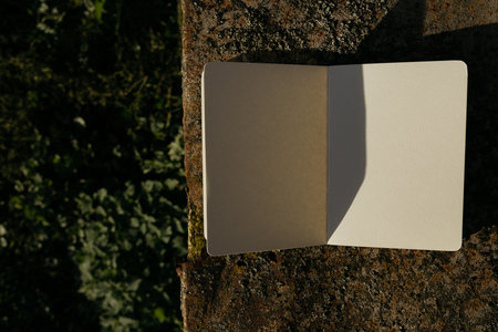 Photo of blank business cards on stone wall. Mockup for branding identity.の写真素材