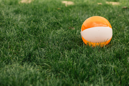 orange ball on the green grass in the park with copy spaceの写真素材