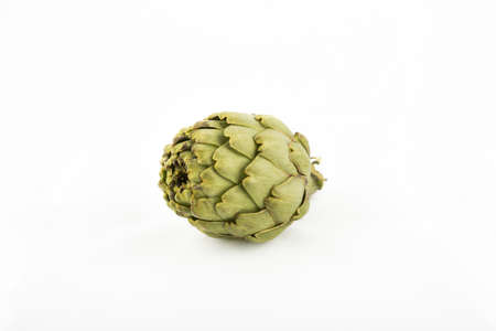 Artichoke on white backgroundの写真素材