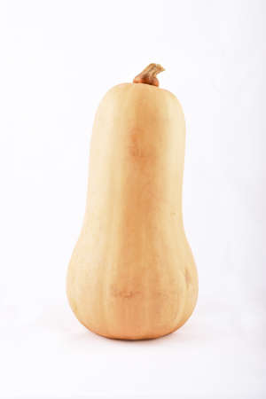 pumpkin on white backgroundの写真素材
