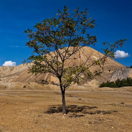 Artificial hills as a result of mining and production of copperの写真素材