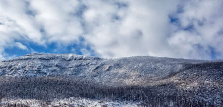 Trees in winter on the mountain covered with ice and snowの写真素材