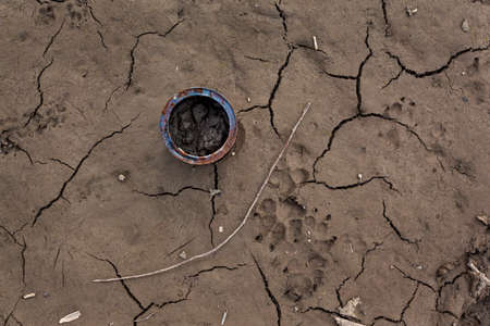 Animal footprints in dried mudの写真素材