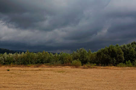 Landscape with trees and stormy clouds