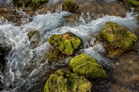 Source of the river that makes waterfalls over rocks covered with moss in early spring