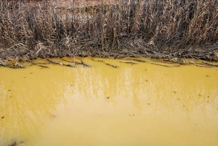 Contaminated water due to industrial pollution