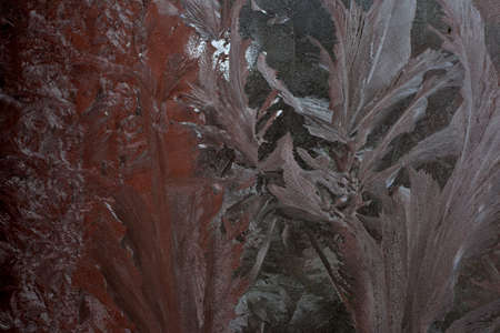 Patterns of ice on the window in winterの写真素材