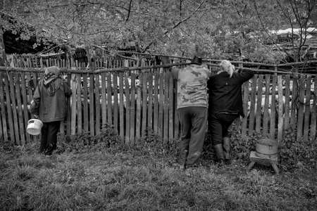 Brezovica, Serbia - May 12, 2016: Milking sheep in Brezovica on the mountain householdのeditorial素材