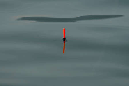 Red angling float in the riverの写真素材