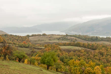 Autumn day in the woods with golden brown leaves near Danube river in Serbiaの写真素材