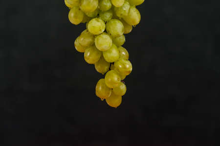 Green grpaes hanging with drops of water