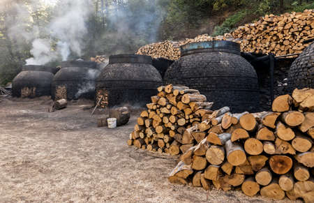 The production of charcoal in a traditional manner in the forestの写真素材