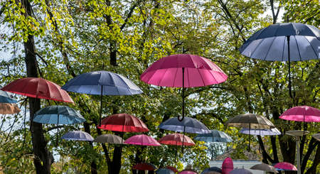 Umbrellas hanging on trees over a pedestrian zoneの写真素材