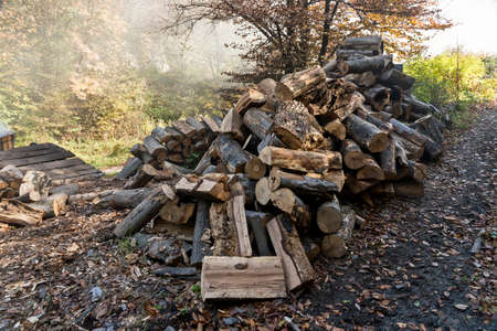 The production of charcoal in a traditional manner in the forestの写真素材