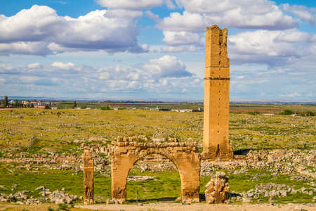 This is the picture of the World's first university, Harran University. The remainings of the university is located in Sanliurfa, Turkey. The shot was taken cloudy day. tower and some gates are still visible.の写真素材