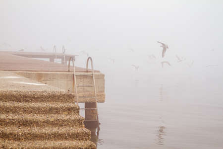 A concreate pier, old rusty stairs and seagulls in foggy dayの写真素材