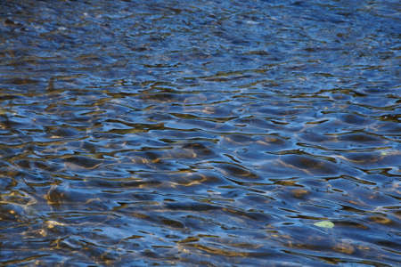 Water  surface