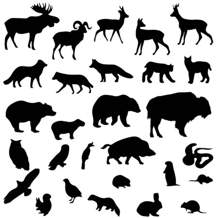 Wild animals vector set silhouettes.のイラスト素材