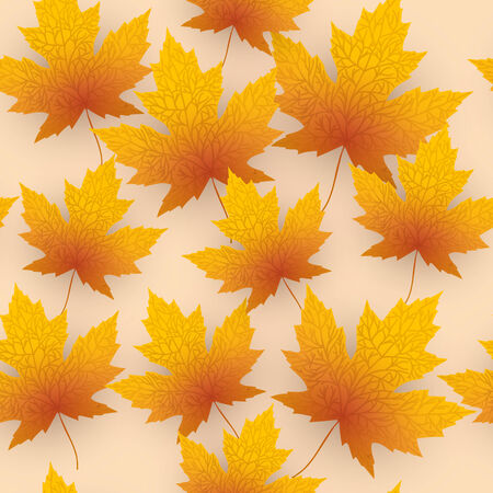 Maple leave fall vector background .のイラスト素材
