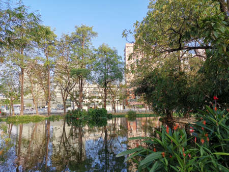 Forest, River, and Grass in Kaohsiung Taiwan. Taken by Borderless Traverler, on 2020/03/27.