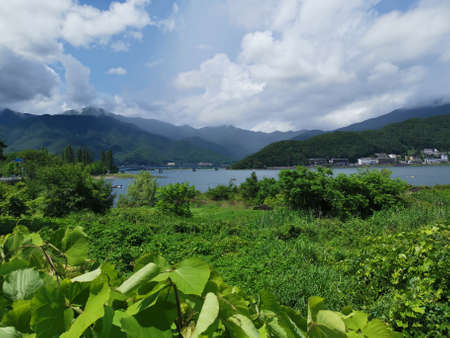 Lake, Forest, and Mountain in Lake Kawaguchi, Japan. Taken by Borderless Traverler, on 2019/07/23.
