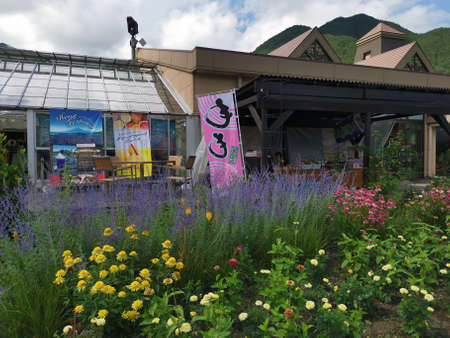 Flower Farm, Forest, and Mountain in Lake Kawaguchi, Japan. Taken by Borderless Traverler, on 2019/07/23.のeditorial素材