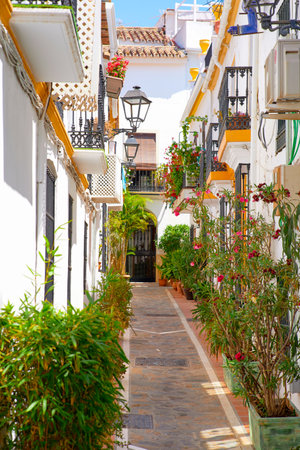 the picturesque city in summerの写真素材
