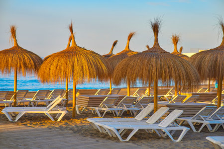 Sunbeds and umbrellas on the beach at sunrise.の写真素材