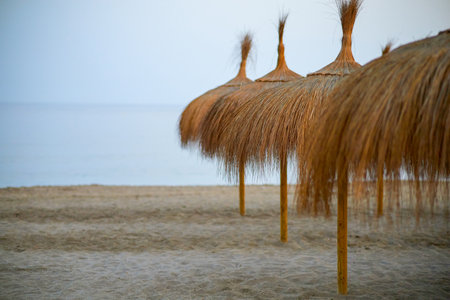 Straw umbrellas on the sandy beach of the Black Seaの写真素材