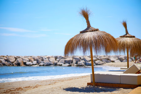 Beach umbrellas and sun loungers on the beachの写真素材