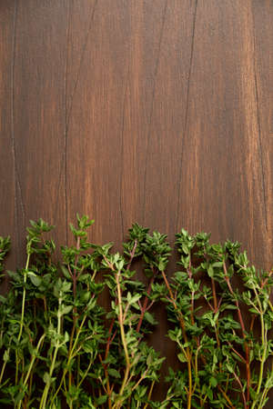 Free place for the inscription. Branch of thyme on a dark wooden board.