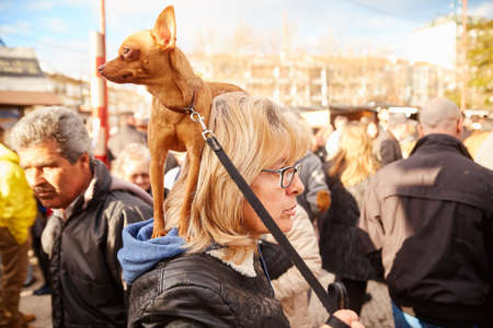 CORROIOS, SEIXAL, SETUBAL, LISBON METROPOLITAN AREA, PORTUGAL - JANUARY, 2018. Chocolate Fair of Corroios is a popular annual event. Feira do chocolate.のeditorial素材