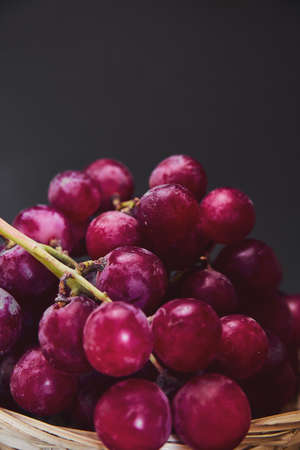 Bunches of purple and red grapes in a wicker basket on a dark background. The harvest of unwashed grapes in a basket. Ecologically bio clean organic grapes from the plantation are collected manuallyの写真素材