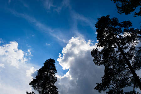 Clouds on a blue sky with tree silhuetの写真素材