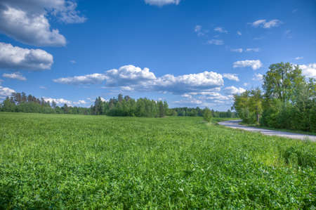 Paved road on a country sideの写真素材