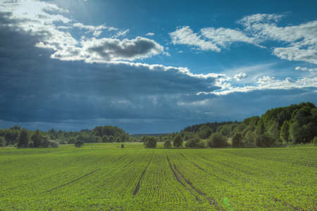 Dark clouds over meadowの写真素材