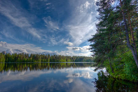 Lake in the middle of a forestの写真素材