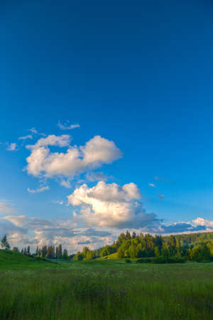 Cumulus clouds over meadow as fog is formingの写真素材